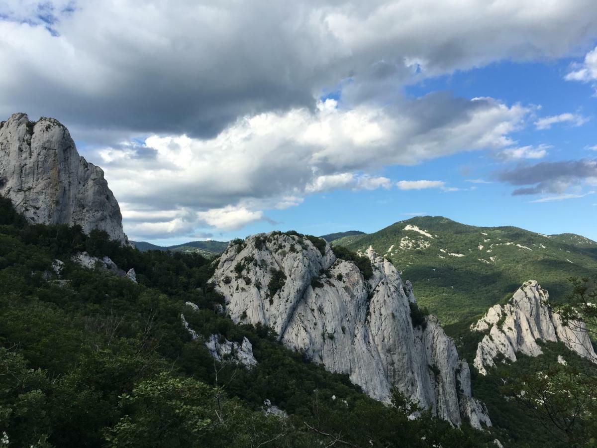 Wil Vannese สตินิกา ภายนอก รูปภาพ